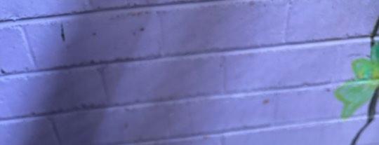Cover Photo